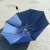 Import The cheapest Dual-folding umbrella wholesale from China