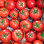 Top Quality Fresh Cherry Tomatoes/ Fresh Tomatoes