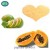 Import top quality organic papaya powder 100%pure nature from China