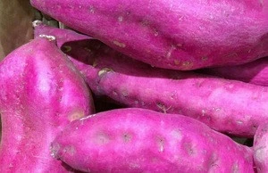 Top Quality Purple  and Red Sweet Potatoes/Available