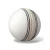 Import Top Selling Cricket Hard Ball Training Cricket Ball from Pakistan