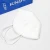 Import White 5-Layer Disposable Breathing Valve KN95 Mask from China
