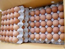 WHITE AND BROWN FRESH TABLE EGGS, HATCHING EGGS Price