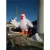 Import White Customized Model 6m High Large Inflatable Chicken For Shop Advertising Decoration from China