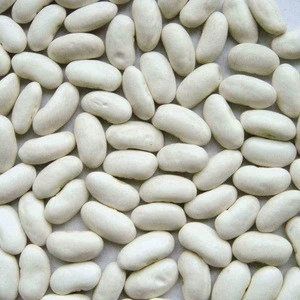 White Kidney Beans, Red Kidney Beans, Light Speckled Kidney Beans