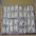 whole cleaned frozen baby octopus for sale