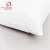 Import Wholesale Balance Medical Health Care Buckwheat Husk Pillows from China