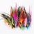 wholesale cheap 4.5-6 Inch dyed Red Rooster Saddles Feathers 50 pieces in a package for DIY ART and Draft dream catcher