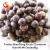 Import wholesale cheap china shandong fresh chestnut from China