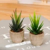 Wholesale cheap mini artificial plants,artificial succulent plants
