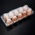 Import Wholesale Disposable Pet Transparent Plastic Egg Tray With 10 Cells from China