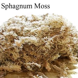 Wholesale Garden Supplies Pure Ture Dried Sphagnum Moss for Planting Orchids and Other Flowers Made In China