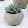 Wholesale mini artificial succulent decorative indoor bonsai on desk