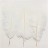 Wholesale Natural party Decorative White Ostrich Feathers For Wedding Centerpieces