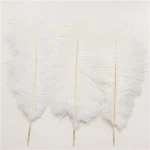 Wholesale Natural party Decorative White Ostrich Feathers For Wedding Centerpieces