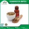 Wholesale Price Fennel Seed Oil