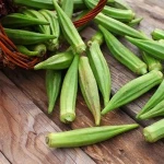 Wholesale Price Okra Vegetables Chips Okra Prices