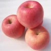 Wholesale Product Top Selling Fresh Red Fuji Apple Fruits Succulent Organic Apple Fruit