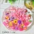 Import Wholesale sweet lady elastic hair band colorful ribbon from China