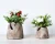 Wooden Flower Vases Storage Box Wood Vase Designs For Bedroom Living Room