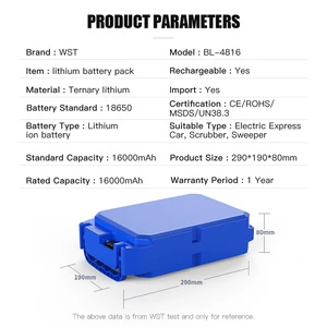WST Factory 48v 20ah 16000mAh super capacitor rechargeable battery for electric bike