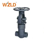 WZLD Manufacturing Company Customized High Quality API Standard Globe Valve/Stop Valve