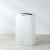 Import XIAOMI MIJIA LEXIU Rosou WS1 Electric Air Dehumidifier home Dryer dry heat electric High Efficiency dehydrator moisture absorber from China
