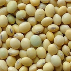 Yellow Soybeans Prices
