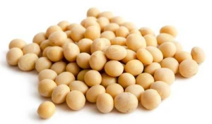 Yellow Soybeans/Soybean/Soya Bean/Soybeans