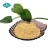 Import Zero Calories Sweetener Mogroside V 20-80% Luo Han Guo Monk Fruit Extract from China