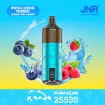 Bulk JNR Panda 25500 Blueberry Sour Raspberry | Factory Direct Stock