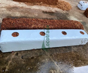 Coir grow bag slab for planting