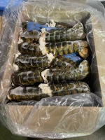 Frozen Lobster Tails