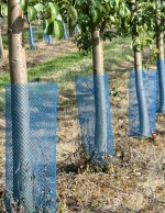 Tubular Tree Guard Net Diamond Mesh Tree Shelter Plastic Tree Protector Tube Mesh For Young Sapling Anti Rodent