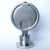 Import 100mm Diaphragm Pressure Gauge from China