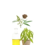 Hemp seed oil