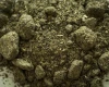 High Protein Sunflower Meal for Animal feed in pellets High protein sunflower cake meal for sale at competitive prices