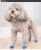 Import Pet Anti-Slip Knit Dog Socks Cat Socks with Rubber Reinforcement Dog Paw Protector for small dogs cats from China