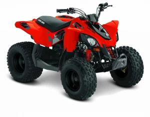 Can-Am DS90