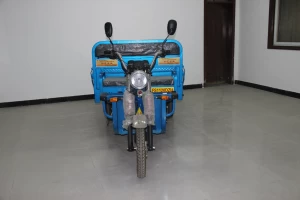 ASA2 Heavy Load tricycle for cargo transportation