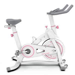 Wholesale Easy Moving Home Use Spinning Bike Indoor Fitness Equipment with Cheap Price
