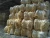 Import Polyurethane foam scraps from Germany