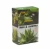 Import NEEM & ALOEVERA WITH CHIPS SOAP from India