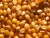 Import Corn Non GMO from India
