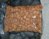 Almonds / Almond nut /Almonds kernel for sale