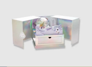 Holograms Rigid box with double opening