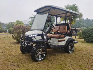 Electric Vehicles & Golf Carts&Resort shuttle &hotel shuttle,made in China