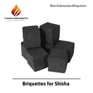 Coconut Shell Briquette for Shisha & Hookah