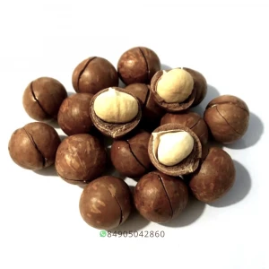 ROASTED MACADAMIA NUT VIETNAM