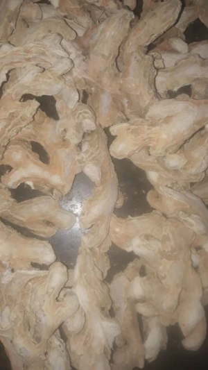 Top Quality Dried Ginger Available in Best Discounts